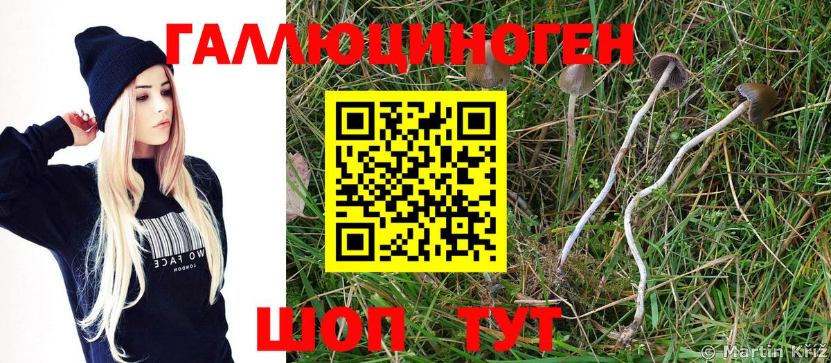 хочу наркоту  Вход с VPN  Петропавловск-Камчатский  Галлюциногенные грибы Magic Shrooms 