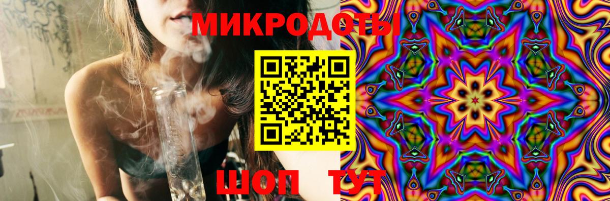 Псилоцибиновые грибы Psilocybine cubensis Петропавловск-Камчатский